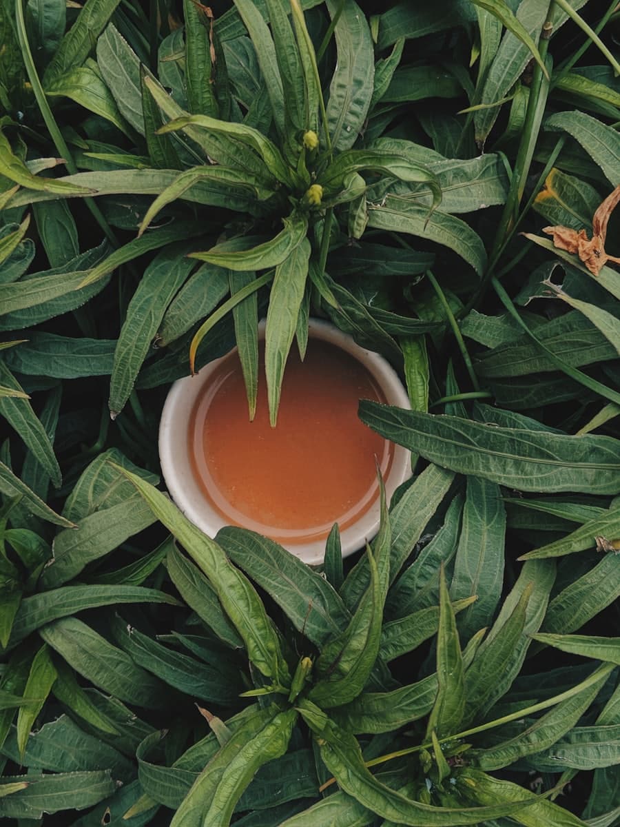 Fresh Mint Green Tea