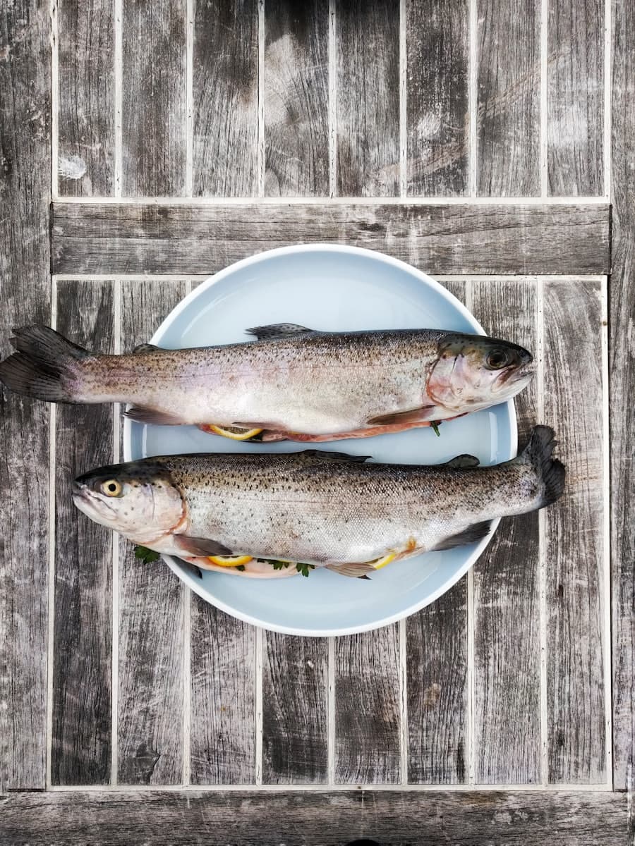 Grilled Trout