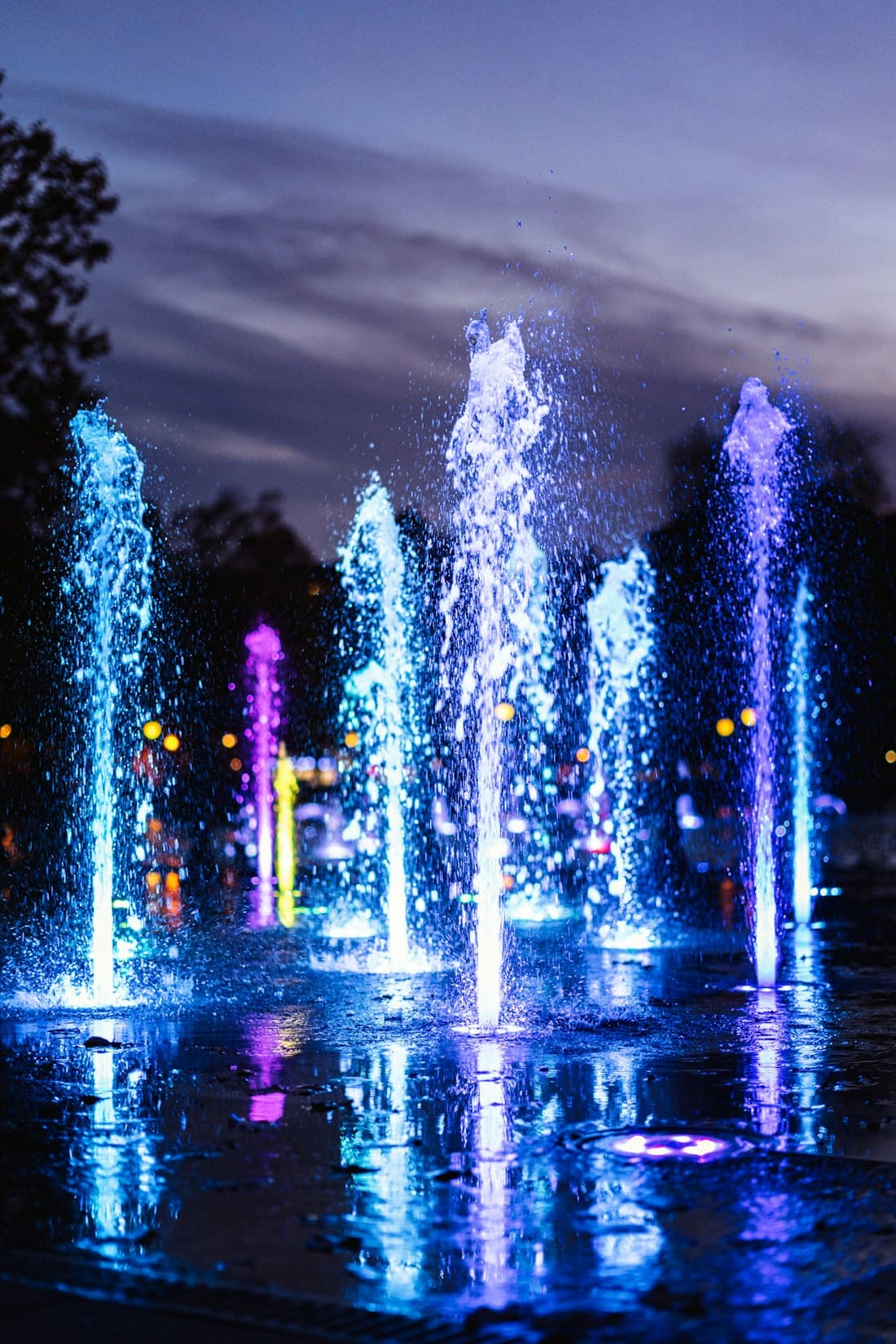 Light & Music Fountain